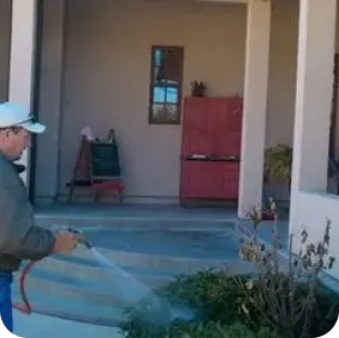 watering-plant-man-366w-1